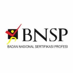 logo-bnsp